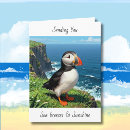 Search for puffin cards Ocean