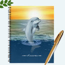 Search for dolphin notebooks Beach