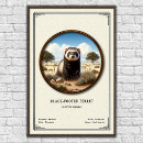Search for ferret art posters Animal