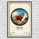 Search for bongos posters African