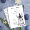 Search for easter some bunny 1st
