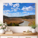 Search for marshland posters Wildlife