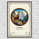 Search for horned mammal posters Goat