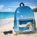 Search for gannets Wildlife