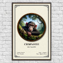 Search for chimpanzee posters Primate