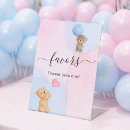 Search for gender reveal signs Teddy bear