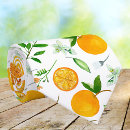 Search for orange fruit ties Watercolor