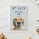 Search for from the pet cards Cute