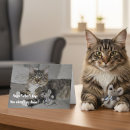 Search for funny cat fathers day cards Humour