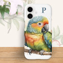 Search for shell parrot iphone cases Watercolor