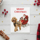 Search for dog christmas postcards Santa