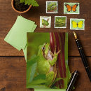 Search for embracing postcards Wildlife