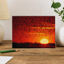 Search for blackbird postcards Wildlife