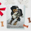 Search for happy howlidays cards Blue