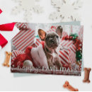 Search for grey cat christmas cards Dog