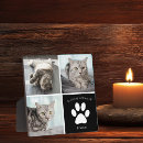 Search for pet memorials In loving memory