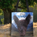 Search for andes mountain accessories Alpaca