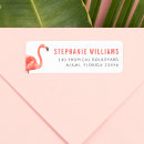 Search for pink flamingo Typography