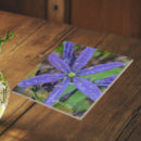 Search for common photography Floral