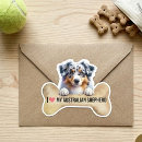 Search for animal bones stickers Canine