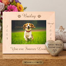 Search for paw print picture frames Forever in our hearts
