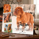 Search for pet memorials Sympathy