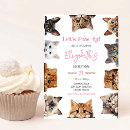 Search for cat birthday invitations Let's pawty