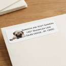 Search for pugs return address labels Puppy