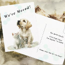 Search for pet announcement postcards Change of address