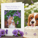 Search for cavalier king charles spaniel birthday cards Pet