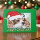 Search for cavalier king charles spaniel christmas cards Red
