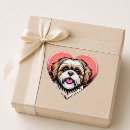 Search for shih stickers Shih tzu owner