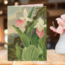 Search for slipper cards Pretty