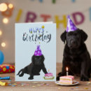 Search for black labrador puppy birthday cards Dog