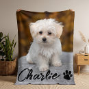 Search for remembrance blankets Modern simple minimalist design