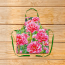 Search for carnation aprons Botanical