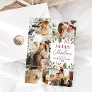 Search for red and gold christmas cards Foliage
