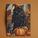 Search for pumpkin halloween cards black cat