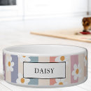 Search for colourful pattern pets Floral