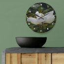 Search for magnolia clocks White flower