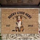 Search for australian shepherd doormats Pets