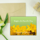 Search for daffodil cards Narcissus