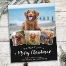 Search for woof christmas cards Dog lover