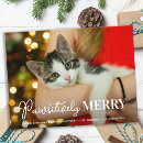 Search for cat lover christmas cards Pets