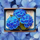 Search for hydrangea flowers postcards Vintage
