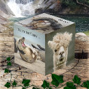 Search for pet photo cubes Dog