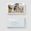 Search for pack business cards Dog