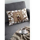 Search for felines photography For pets