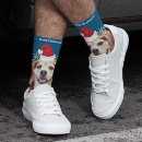 Search for cute socks Cat