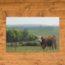 Search for beautiful scenery posters Nature
